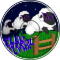 Moon Wool