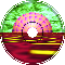 Antigravity Field