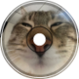 Through the meow and purr